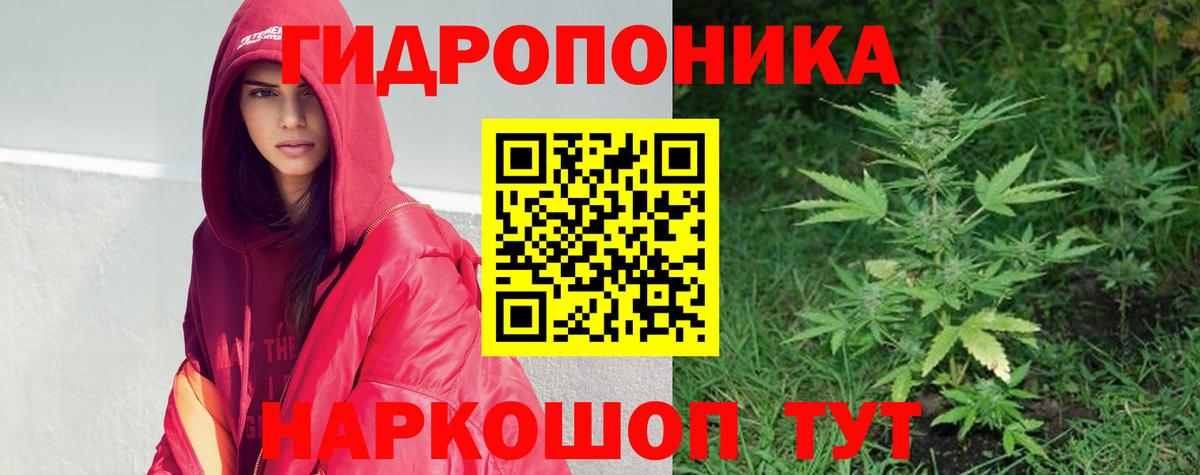 Бошки Шишки планчик  Вход с VPN  Бошки марихуана индика  Аша 